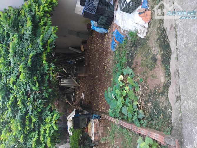 Hiếm, Chỉ 6.8 tỷ Sở Hữu Ngay 52m2 Đất ở Tu Hoàng, Nam Từ Liêm - Ảnh chính